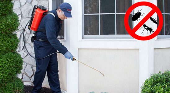 Alacakaya Böcek İlaçlama böcek ilaçlama ve haşere kontrolü — ilaclama-tr.com